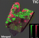 Representative example of the presentation of an MSI data set